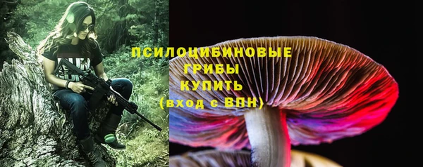 прущая мука Балахна