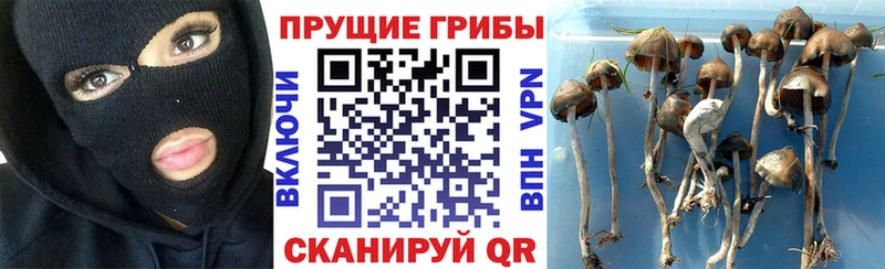 Галлюциногенные грибы GOLDEN TEACHER Макушино